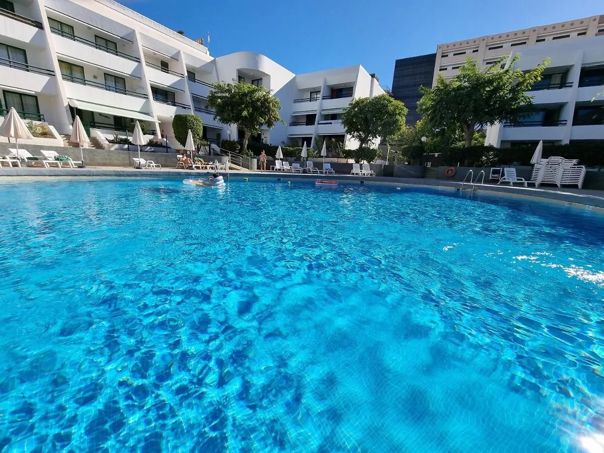 Apartment Casa Palmera Only 150 Meters To The Beach, Heated Pool, Wifi, Sat-Tv, Balcony With Poolview Arona  Arona (Tenerife)